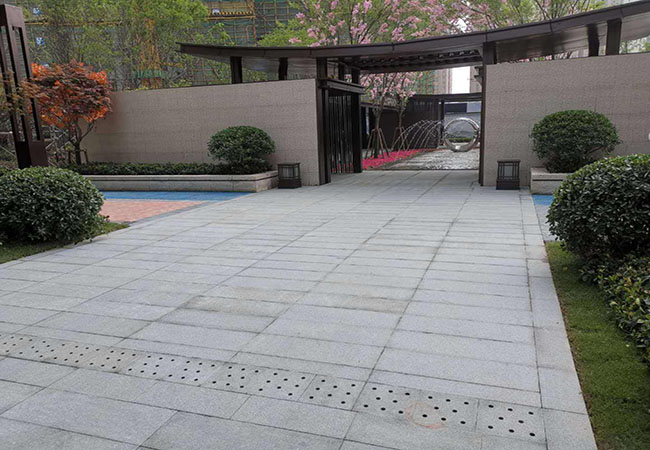 芝麻白價格廠家多(duō)少錢(圖3) 芝麻白價格廠家多(duō)少錢(圖3)